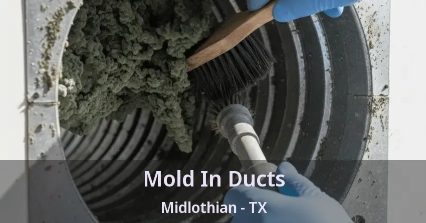 Mold In Ducts Midlothian - TX
