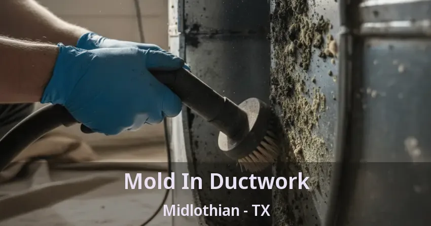 Mold In Ductwork Midlothian - TX