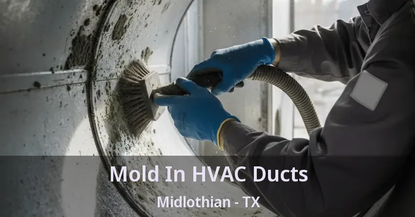 Mold In HVAC Ducts Midlothian - TX