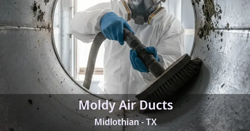 Moldy Air Ducts Midlothian - TX Moldy Air Ducts Midlothian - TX